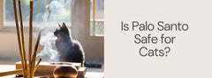 Is Palo Santo Safe for Cats? - A Girl's Gotta Spa!