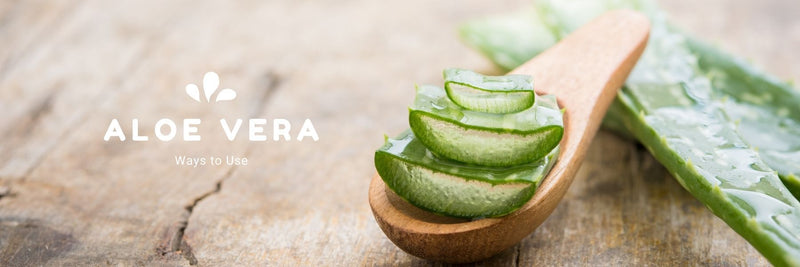 What is Aloe Vera Good For? - A Girl's Gotta Spa!