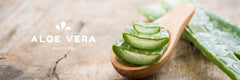 What is Aloe Vera Good For? - A Girl's Gotta Spa!