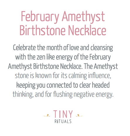 February Amethyst Birthstone Necklace by Tiny Rituals - A Girl's Gotta Spa!